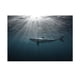 thumbnail image 2 of Imagen de fondo adhesiva lateral para pecera de acuario XS, 2 of 9