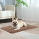 thumbnail image 4 of PRODUCTOS PARA MASCOTAS Colchoneta autocalentable para cama Colchoneta térmica autocalentable para perros Colchoneta calefactora para gatos Colchoneta calefactora para gatos callejeros y domésticos Co, 4 of 6