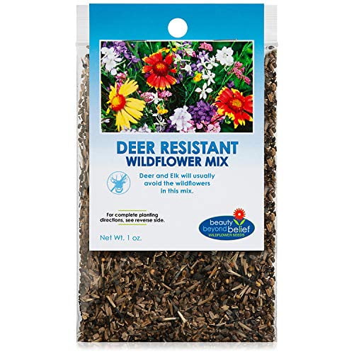 Deer Resistant Wildflower Seeds Bulk Open-Pollinated Wildflower Seed ...
