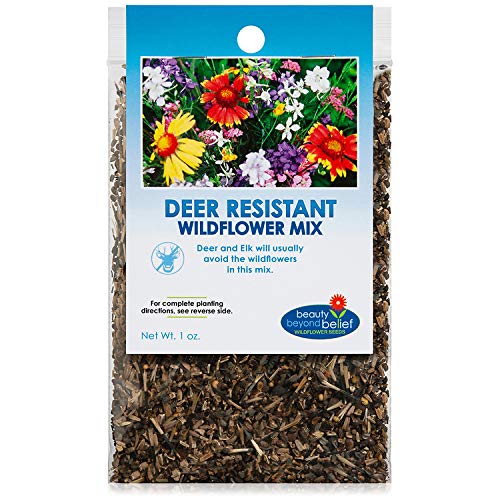 Deer Resistant Wildflower Seeds Bulk OpenPollinated Wildflower Seed
