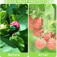 thumbnail image 5 of 100 Uds. Bolsas de protección de frutas, bolsas de red de frutas para árboles frutales, bolsa de malla con cubierta de frutas, bolsas de barrera de red con cordón, 13*18cm, 5 of 5