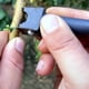 thumbnail image 5 of Cuchillo para injertar ramas de jardín, herramienta de injerto, herramienta manual para injerto de árboles frutales, dispositivo de injerto de árboles, 5 of 8