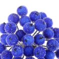 thumbnail image 2 of 200pcs Mini de Acebo Artificial Decoración Navidad Azul Azul oscuro, 2 of 7