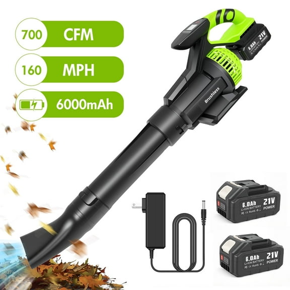 BAOKALER Brushless Leaf Blower Cordless with 6 Ah Battery, 4 Speed Modes Up to 700CFM, Leaf Blower with Detachable Tube and Digital Display