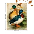 thumbnail image 3 of Ducks in Pond Canvas Print, Antique Bird Artwork, Vintage Farmhouse Style Wall Decor, 3 of 8