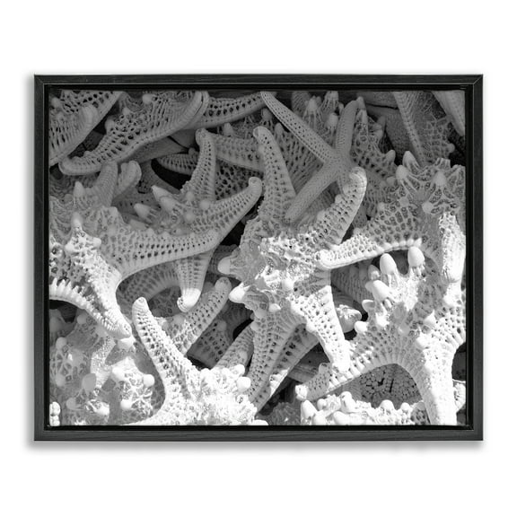 Stupell Industries Nautical Starfish Pile Coastal Photography Black Floater Framed Canvas Art Print Wall Art, 21 x 17