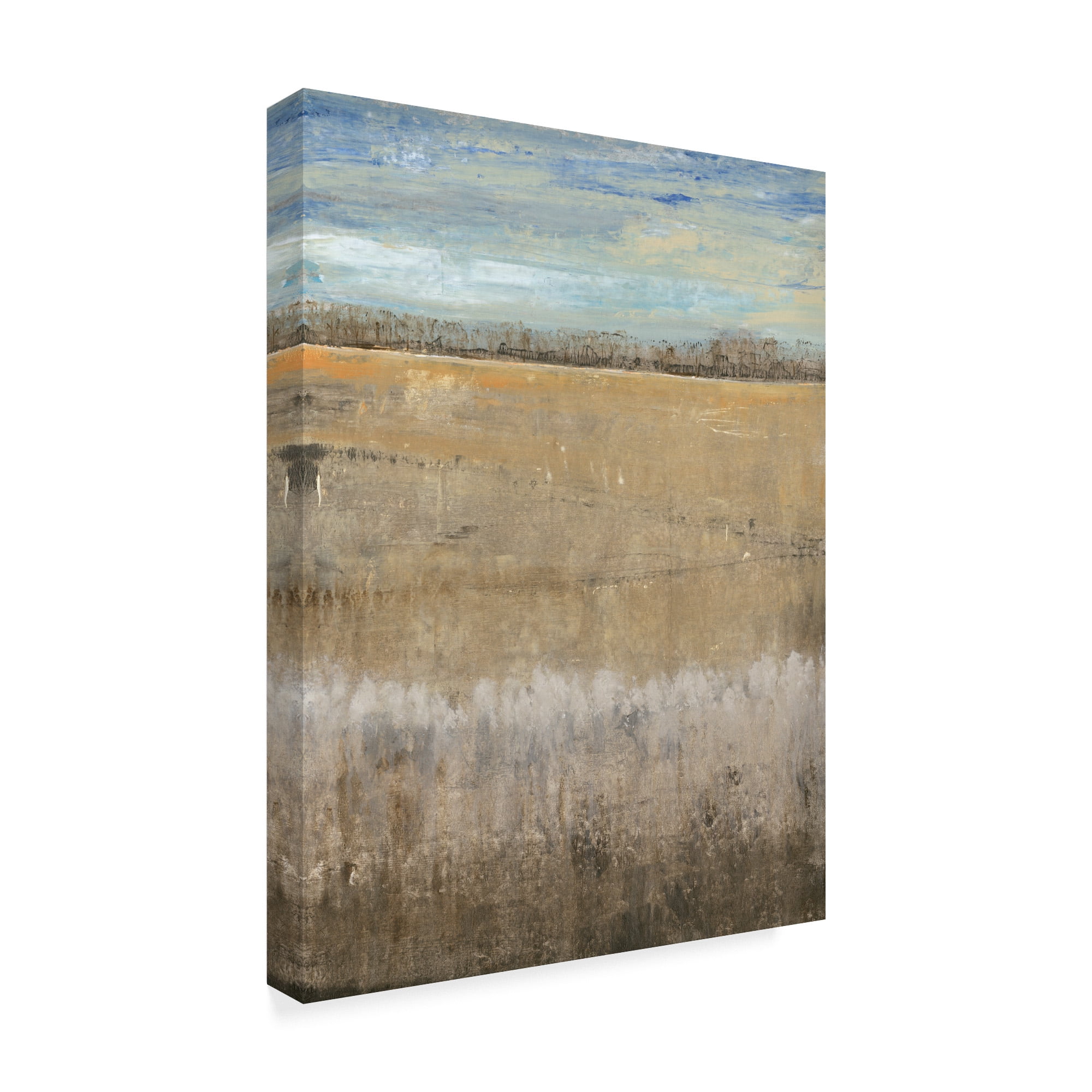 Trademark Fine Art 'Crescendo I' Canvas Art by Tim OToole