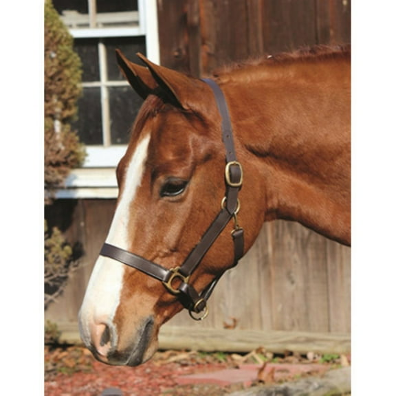 Henri de Rivel Advantage Leather Halter