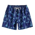 thumbnail image 1 of Aayomet Mens Swimming Trunks With Compression Liner Triangle Mesh Quick Dried Outdoor Summer Beach Pants (Blue, S), 1 of 5