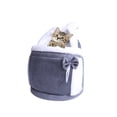 thumbnail image 2 of Versatile Pet Backpack for Travel with Compartments and Front Facing and Cats, 2 of 2