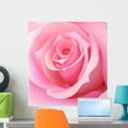 thumbnail image 1 of Pink Rose Wall Mural by Wallmonkeys Peel and Stick Graphic (24 in H x 23 in W) WM195366, 1 of 4