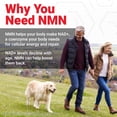 thumbnail image 4 of Force Factor NMN Longevity Capsules, 500mg NMN Extra Strength, Precursor to Boost NAD+ Levels for Cellular Energy, Metabolism & Healthy Aging Support, 60 Capsules, 4 of 13