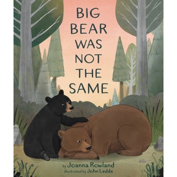 Pre-Owned Big Bear Was Not the Same (Hardcover) 1506471412 9781506471419