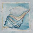 thumbnail image 5 of Watercolor Shells Canvas Wall Art Blue Set of Two 2 Set of 2, 5 of 5