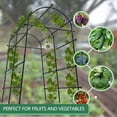 thumbnail image 5 of Huisuilinss Garden Arch Trellis,7.5FT Metal Garden Arbors,Wedding Arch Archway With Netting For Climbing Plants,Vegetables,Flowers,Adjustable Width,Outdoor Pergola For Garden Christmas Party Decor, 5 of 7