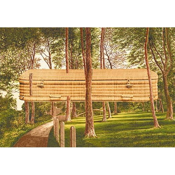 Surreal Casket in the Woods-Fine Art Canvas Print (20" x 30")