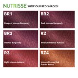 Nutrisse R3 Garnier Nutrisse Nourishing Hair Color Creme, R3 Light Intense Auburn ...