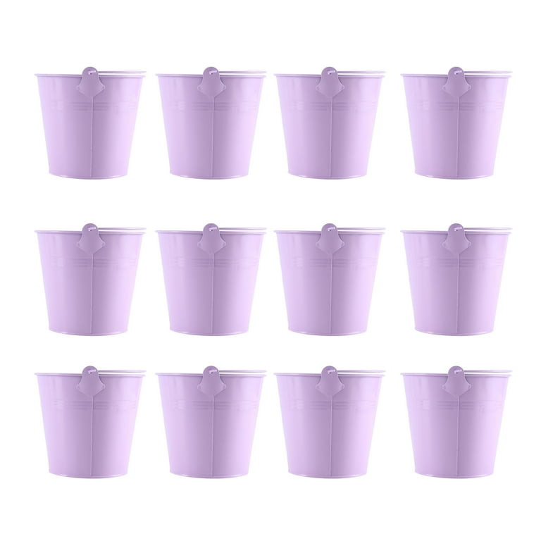 Qtmnekly 12 Pieces Small Bucket with Handle, Cute Mini Fleshy Pot Metal Craft Composite Section Gift, Purple