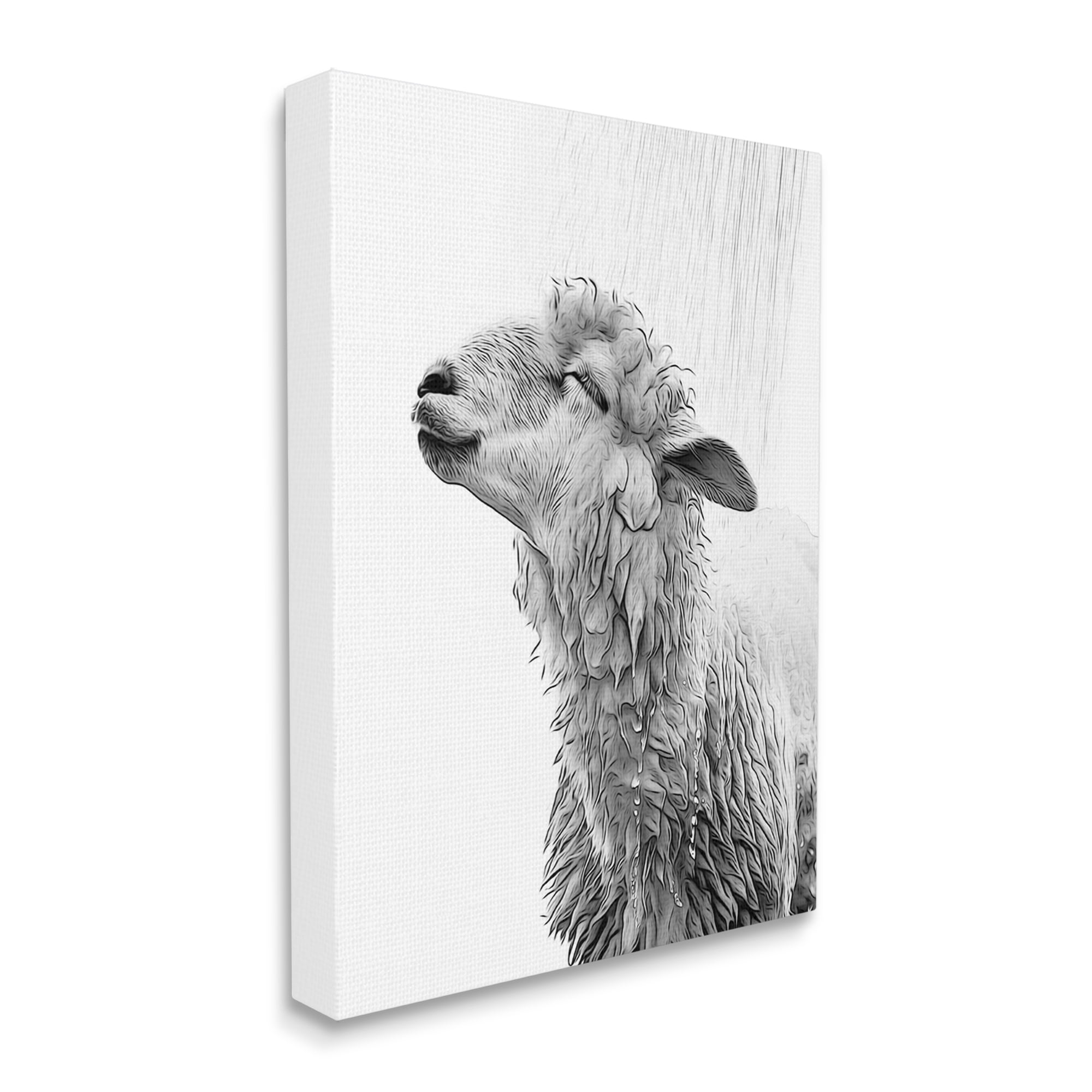 Stupell Industries Sheep Bathroom Splash Animals & Insects Painting Gallery Wrapped Canvas Art Print Wall Art, 36 x 48