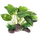 thumbnail image 1 of Plantas acuáticas para acuario, pieles artificiales para peces, madera flotante, decoración para pecera (verde), 1 of 6