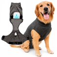 thumbnail image 1 of Traje de recuperación para perros iLVYA, talla mediana, gris, sin cono, para cicatrización, 1 of 9