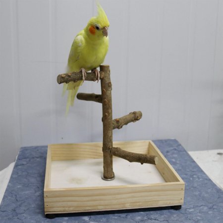 Parakeet Perch, Bird Natural Wood Stand, Parrot Wooden Branches for Standing, Small Medium Parrots Budgie Lovebirds - 36x36x25cm