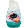 thumbnail image 2 of Renuzit Simply Refreshed Collection Gel Air Freshener, After The Rain 7 oz, 2 of 2