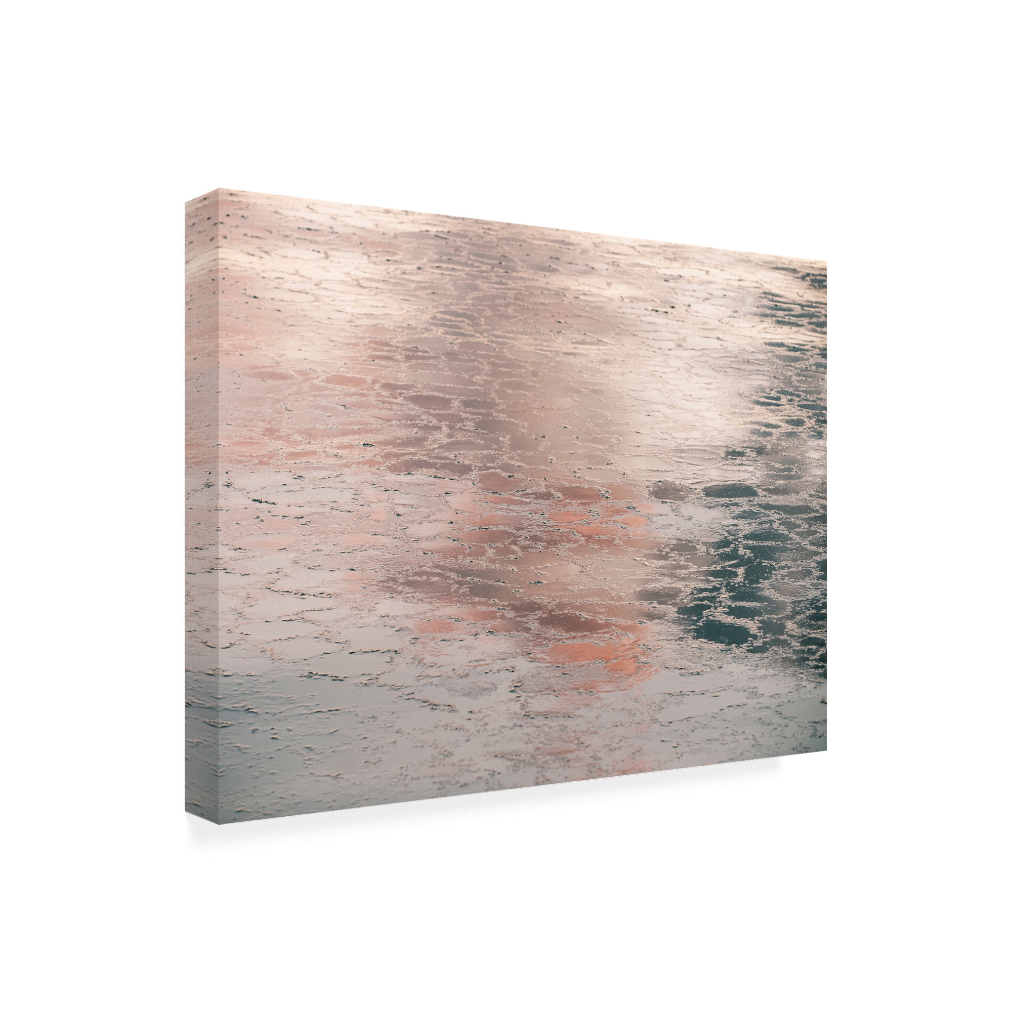 Trademark Fine Art 'Silver Pink Light' Canvas Art by PhotoINC Studio