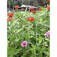 thumbnail image 3 of Greenscapes 7024657 12 x 6 ft. Trellis Netting, White, 3 of 4