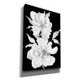 thumbnail image 2 of Epic Graffiti 'Black & White Flowers I' by Cindy Jacobs, Canvas Wall Art, 18"x26", 2 of 2