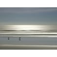 thumbnail image 2 of Olsen, Maggie 24x19 Black Ornate Wood Framed with Double Matting Museum Art Print Titled - Partners, 2 of 4