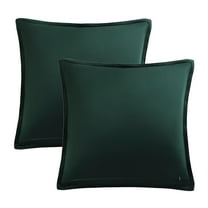 AUQ 2Pcs 20"X20" Decorative Velvet Throw Pillow Covers Soft Square Cushion Covers for Couch Bedroom Dark Green