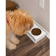 thumbnail image 3 of Internet's Best Modern Elevated Pet Feeder - 2 Small Dog Bowls, 3 of 8