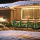 thumbnail image 1 of Herunwer Solar LED Four-Color Christmas Tree Ground Light Outdoor Christmas Decoration Courtyard Lawns Garden Scenery Light Suitable for Christmas Holiday Decoration, 1 of 6