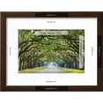 thumbnail image 3 of Savannah, Georgia, USA Oak Tree Lined Road at Historic Wormsloe Plantation, Scenic World Culture Framed Art Print Wall Art by SeanPavonePhoto Sold by Art.Com, 3 of 6