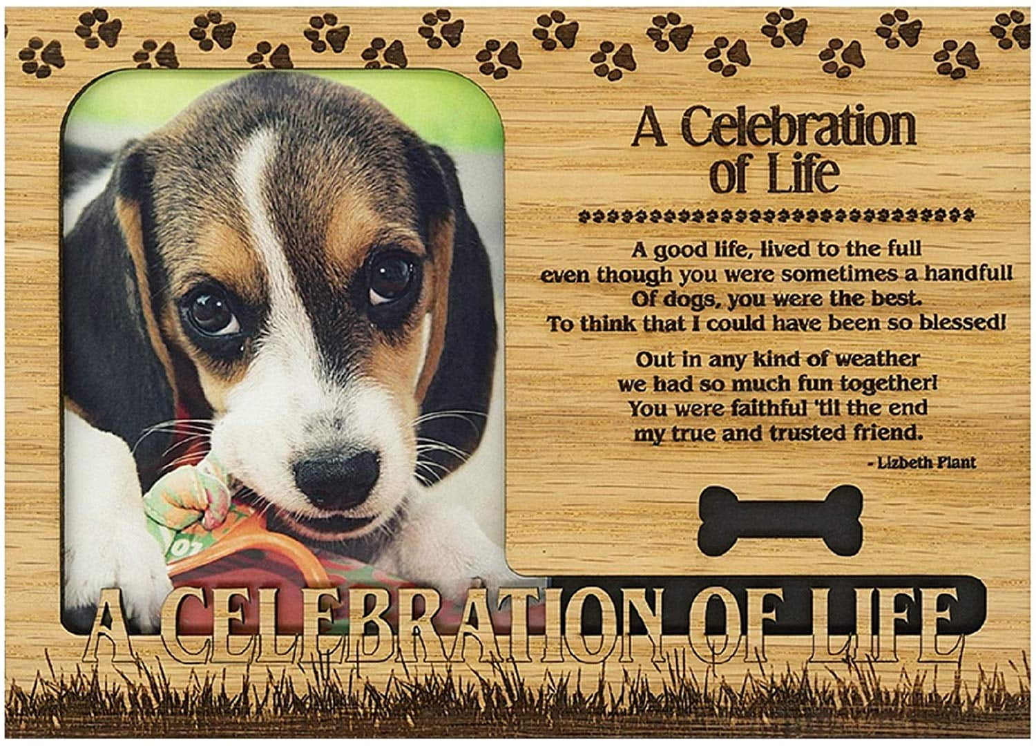 A Celebration of Life Pet Engraved Wood Picture Frame Magnet 