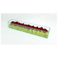 thumbnail image 1 of T&C Floral Company 4 x 4 in. Preserved Roses In Rectangular Glass Box - Burgundy, 1 of 1