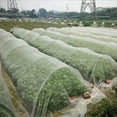 thumbnail image 3 of Fine Mesh Insect Protection Net For Garden, Greenhouse, Plants, Fruits, Flowers, Crops-yky, 3 of 3