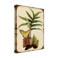 thumbnail image 2 of Trademark Fine Art 'Ferns On Vintage Tin' Canvas Art by Jean Plout, 2 of 3