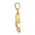 thumbnail image 2 of FJC Finejewelers 10k Yellow Gold Football Helmet Charm, 2 of 6