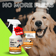 thumbnail image 5 of Nature’s Dome Cedarwood Flea & Tick Spray – 16 oz – Kills & Repels Fleas, Ticks, Larvae & Eggs – Plant-Based Pest Control – Safe for Pets, Kids & Plants – Ready-to-Use, 5 of 14