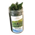 thumbnail image 3 of Grass Tufts Terrain Model Miniature Modeling Miniature Grass Tuft for 1:35 green, 3 of 8
