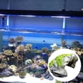 thumbnail image 3 of Artificial Reptile Hiding Cave Fish Aquarium Decoration Resin Material Underwater Terrarium Sculpture Landscape Pet, 3 of 9