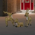 thumbnail image 2 of Northlight Pre-Lit Prancing Reindeer with Spots Outdoor Christmas Decoration - Brown, 2 of 7