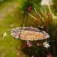 thumbnail image 4 of Comedero de Cadena para Colgar Hojas, Comedero para Jardín, Manualidades Decorativas, 4 of 6
