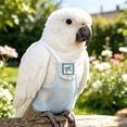 thumbnail image 5 of Reusable Bird Diaper for Parrot, Pigeon Waste Catcher Wrap with Adjustable Fit, Avian Hygiene Suit for Indoor Use, Party Costume Photo Prop, 5 of 5