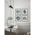 thumbnail image 4 of Gray Sea Shells Quadriptych, 4 of 6