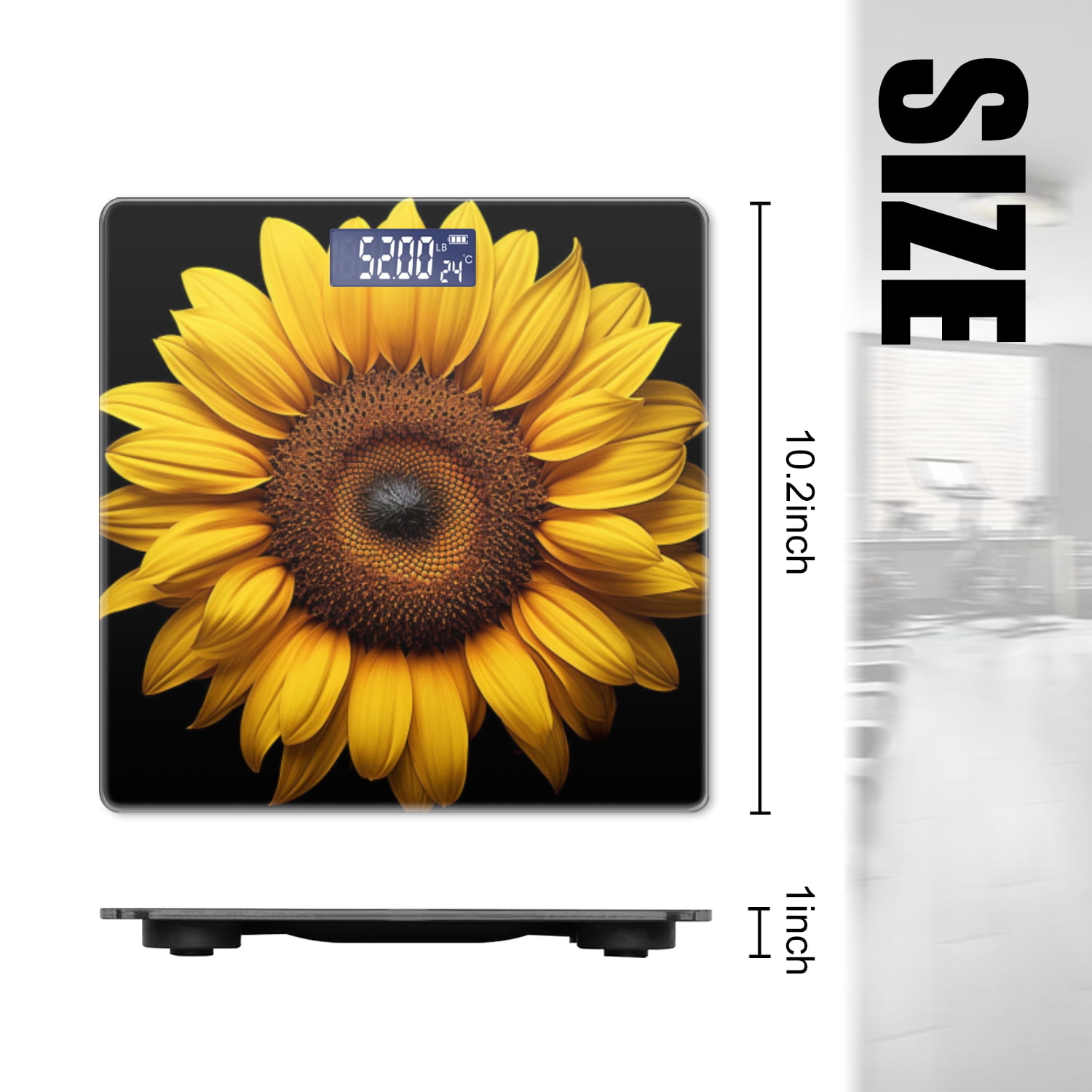High Precision Body Weight Scale Smart Bathroom Scales with Large LCD Display(400lbs),Decorative for Bedroom-Beautiful Sunflower Isolated On Black Background