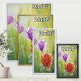 thumbnail image 4 of Designart 'Poppies In The Morning In Wild Green' Traditional Framed Canvas Wall Art Print, 4 of 5