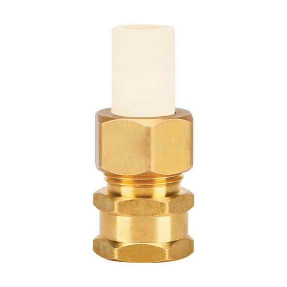Homewerks Schedule 40 1/2 in. Compression x 1/2 in. Dia. FPT CPVC Adapter Coupling